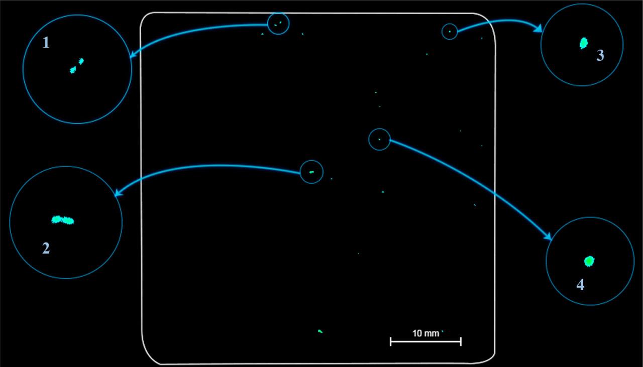 Results of C-scan indications of ultrasonic tests of the Inconel 625 – P355NH joint. Close-ups of particular indications: (1) surface 0.03 mm2; (2) surface 0.09 mm2; (3) surface 0.05 mm2 and (4) surface 0.06 mm2, scanning acoustic microscope