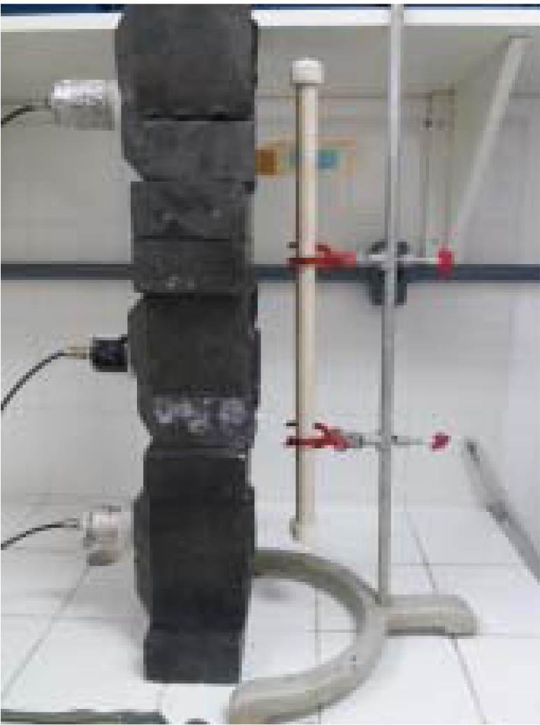 The apparatus used to study the radiotracer stability.
