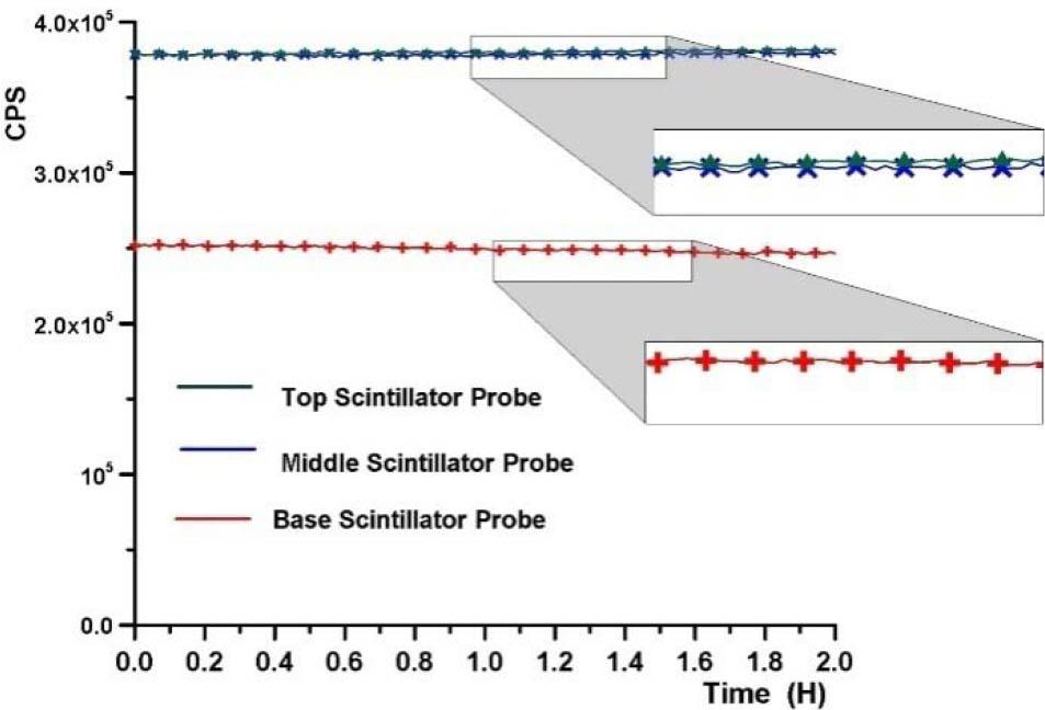 Three scintillator probes registering the gamma count at the base, middle, and top sector of the test device with 74 MBq of labelled oil.