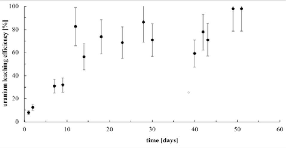 The efficiency of uranium bioleaching in the reactor (initial uranium concentration in the rock: 750–800 ppm).