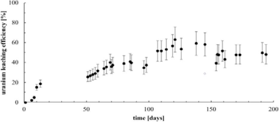 The effect of time on uranium bioleaching in fixed-bed deposit (initial uranium concentration in the rock: 750–800 ppm).