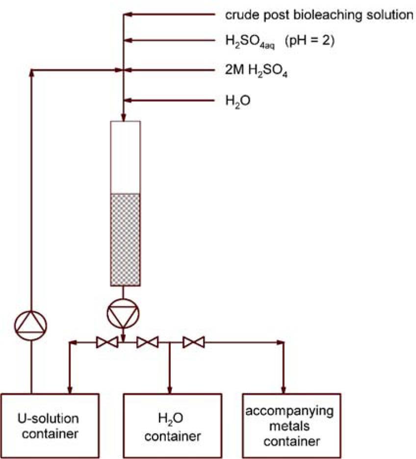 The scheme of ion exchange process, used for the purification uranium post-bioleaching solution.