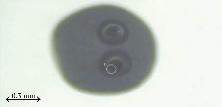 Photo of a microsphere with spherical zirconia particle Φ = 1 mm after laser evaporation.