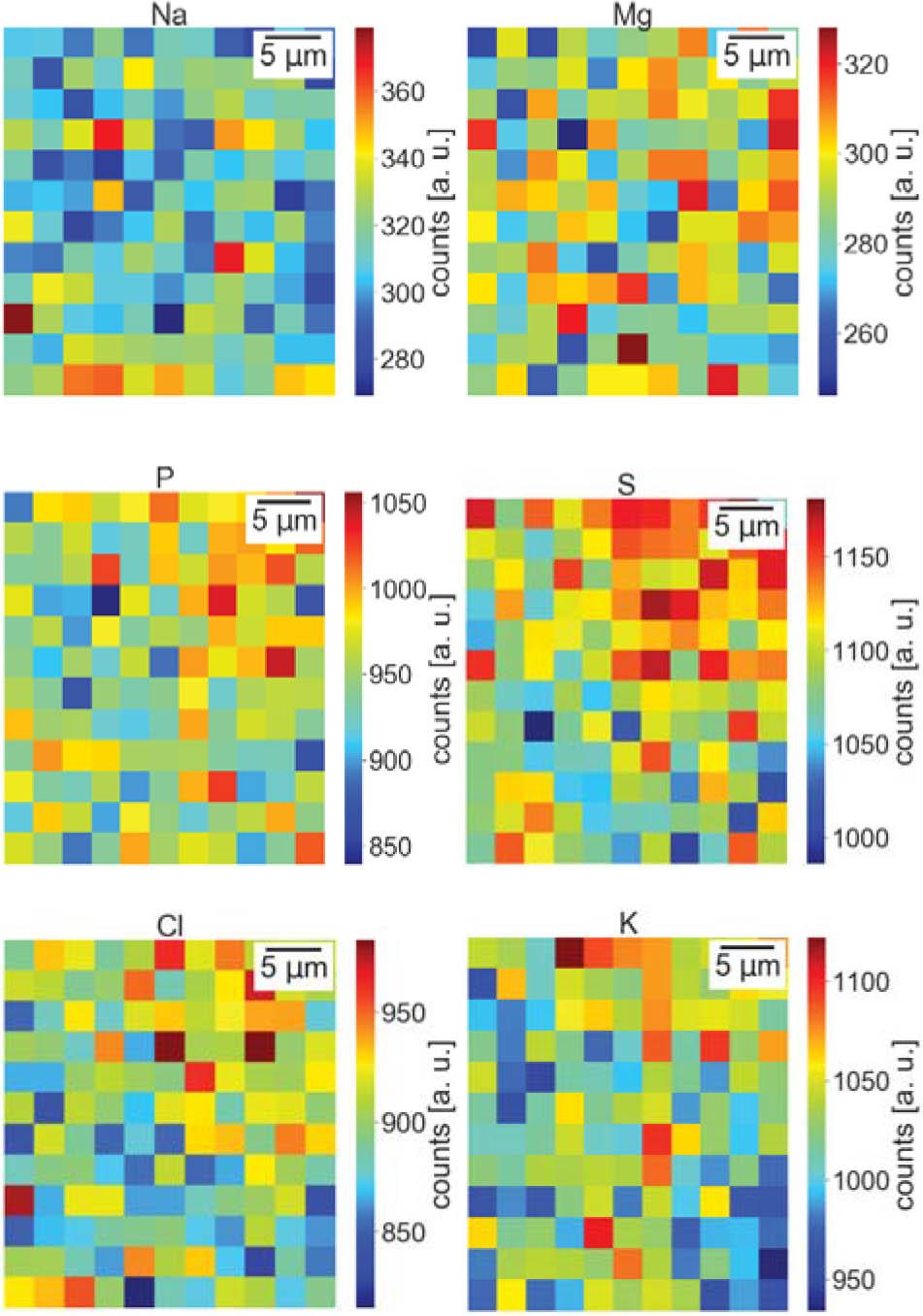 Maps of the elemental distribution of point no. 1 located on control sample.