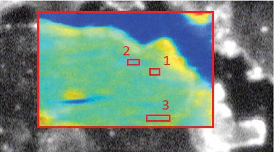 Optical microscope photo with superimposed STIM image. The red rectangles on the image represent the scan areas of point measurements for dystrophy sample.