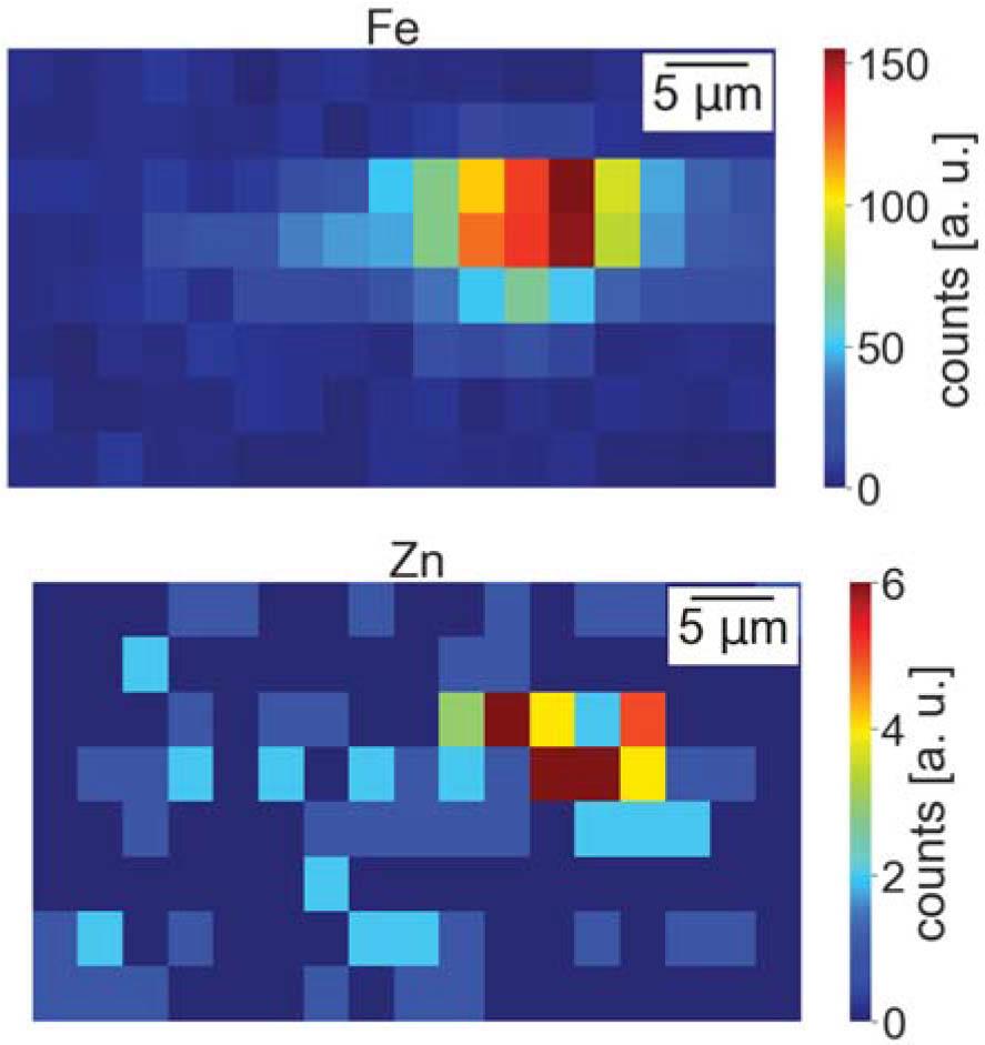 Selected maps of the elemental distribution for point no. 3 – dystrophy sample.