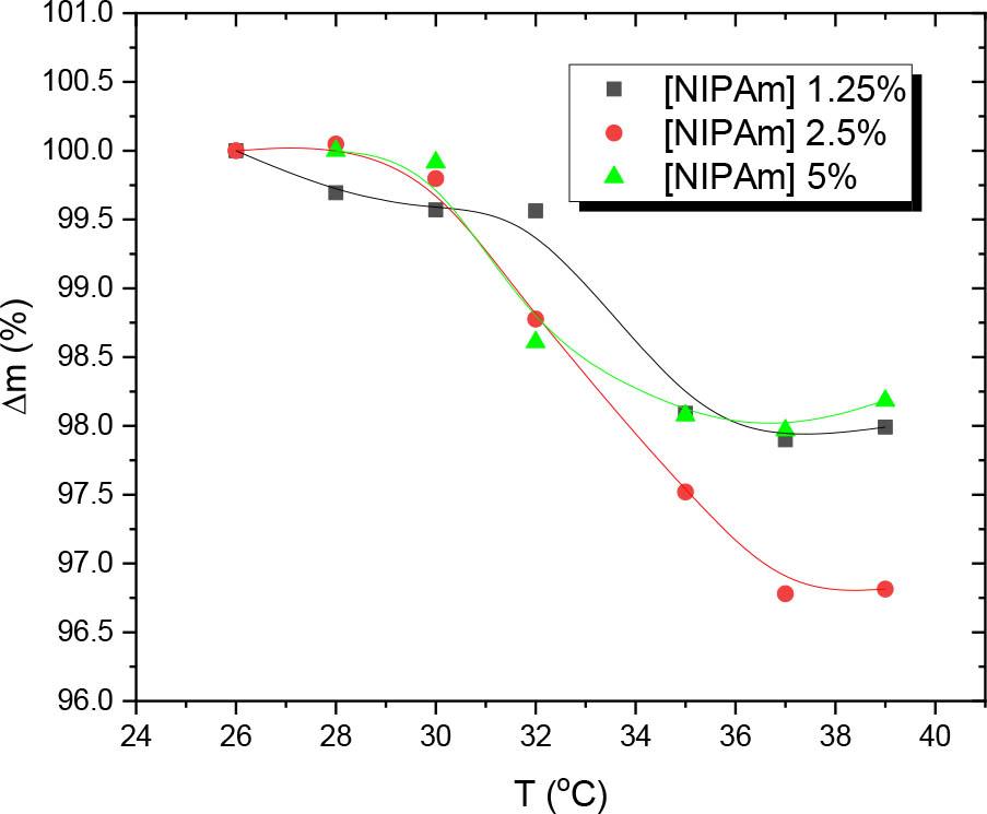 Weight at equilibrium swelling of poly(HEMA-co-NIPAm) hydrogels synthesized by UV irradiation (254 nm, irradiance 2.6 mW·cm−2, absorbed dose 8 J·cm−2) of solutions composed of 50 vol.% of aqueous 30% hydrogen peroxide, 45–48.75 vol.% of HEMA/EGDMA (99/1) and 1.25–5 vol.% of NIPAm, as a function of temperature, normalized to the weight at equilibrium swelling at 26.0°C.
