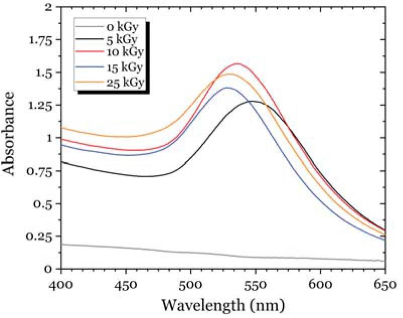 Effect of EB dose on the visible absorption spectrum of poly(HEMA)-AuNPs composite disks (1 mm-thick, soaked in 1 mM Au(III)).