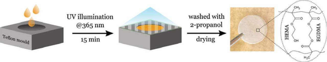 Scheme of the poly(HEMA) xerogel synthesis by photopolymerization.