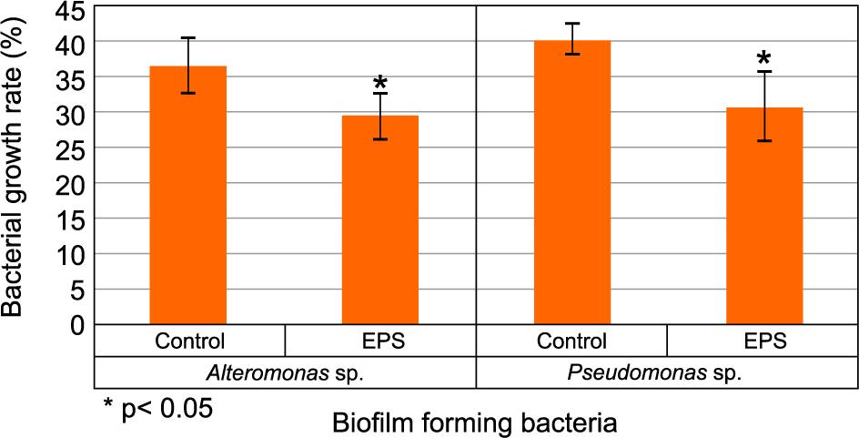 The growth inhibition effect of EPS on the growth biofilm-forming bacteria Alteromonas sp. and Pseudomonas sp.