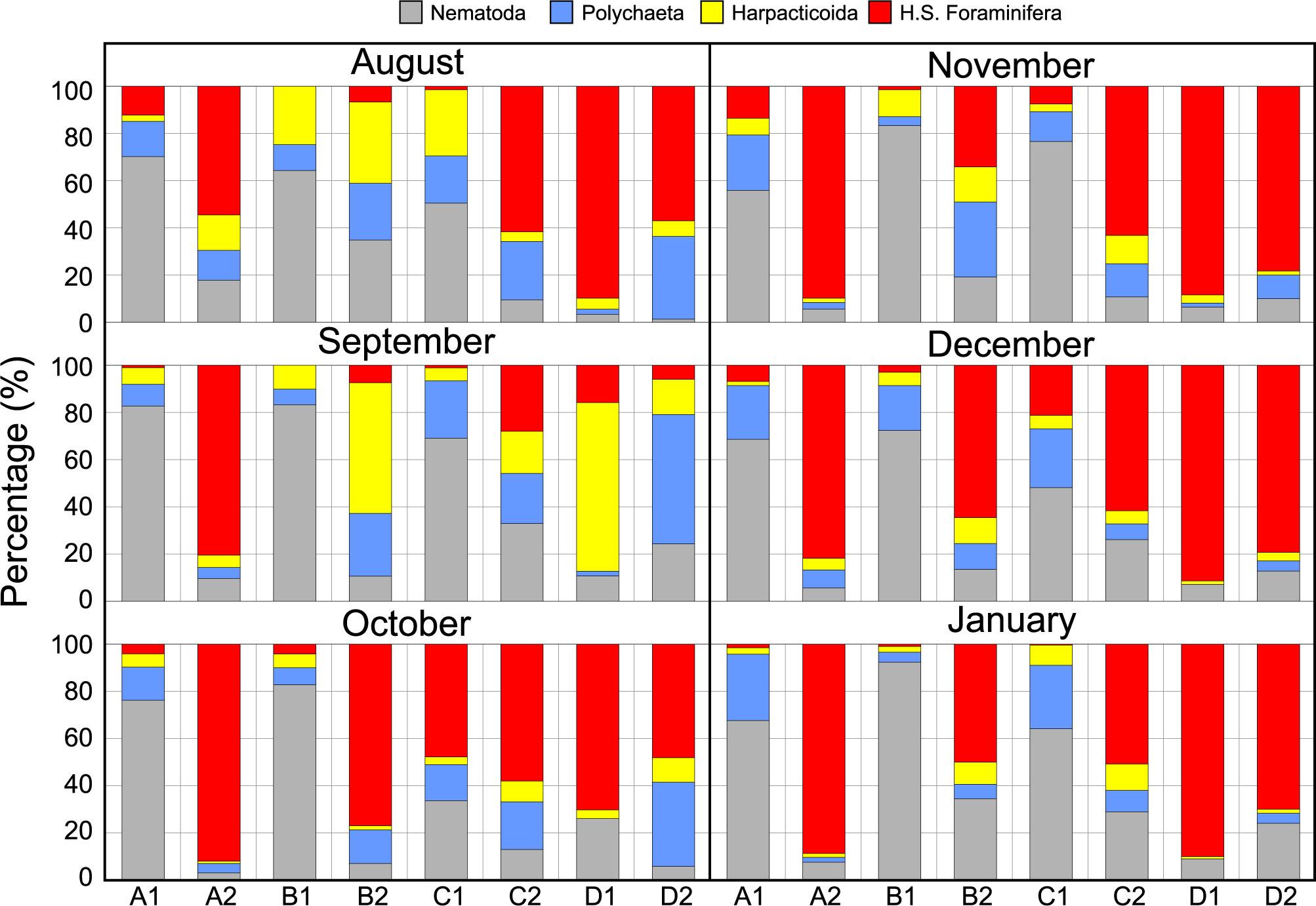 Monthly meiofaunal community structure at sampling stations for the first six months from August 2009 to January 2010 (H.S.: Hard shelled; A, B, C, D are transects; 1 indicates stations with 3 m, 2 indicates stations with 10 m)