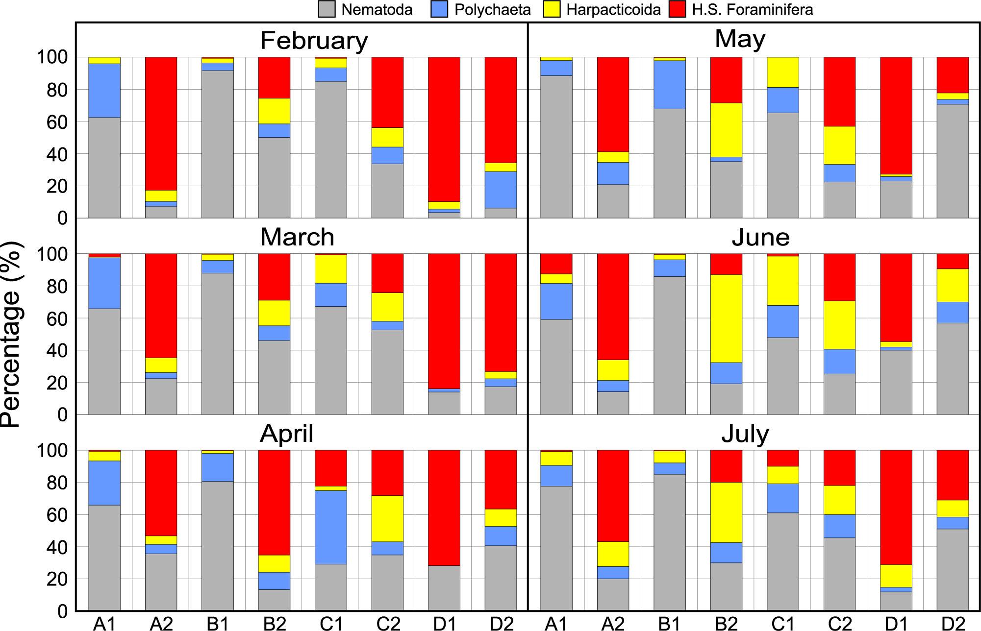 Monthly meiofaunal community structure at sampling stations for the second six months from February 2010 to July 2010 (H.S.: Hard shelled; A, B, C, D are transects, 1 indicates stations with 3 m, 2 indicates stations with 10 m)