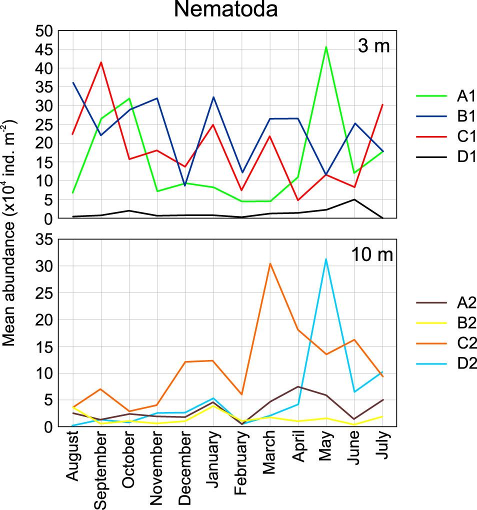 Monthly changes in mean nematode abundance at sampling stations