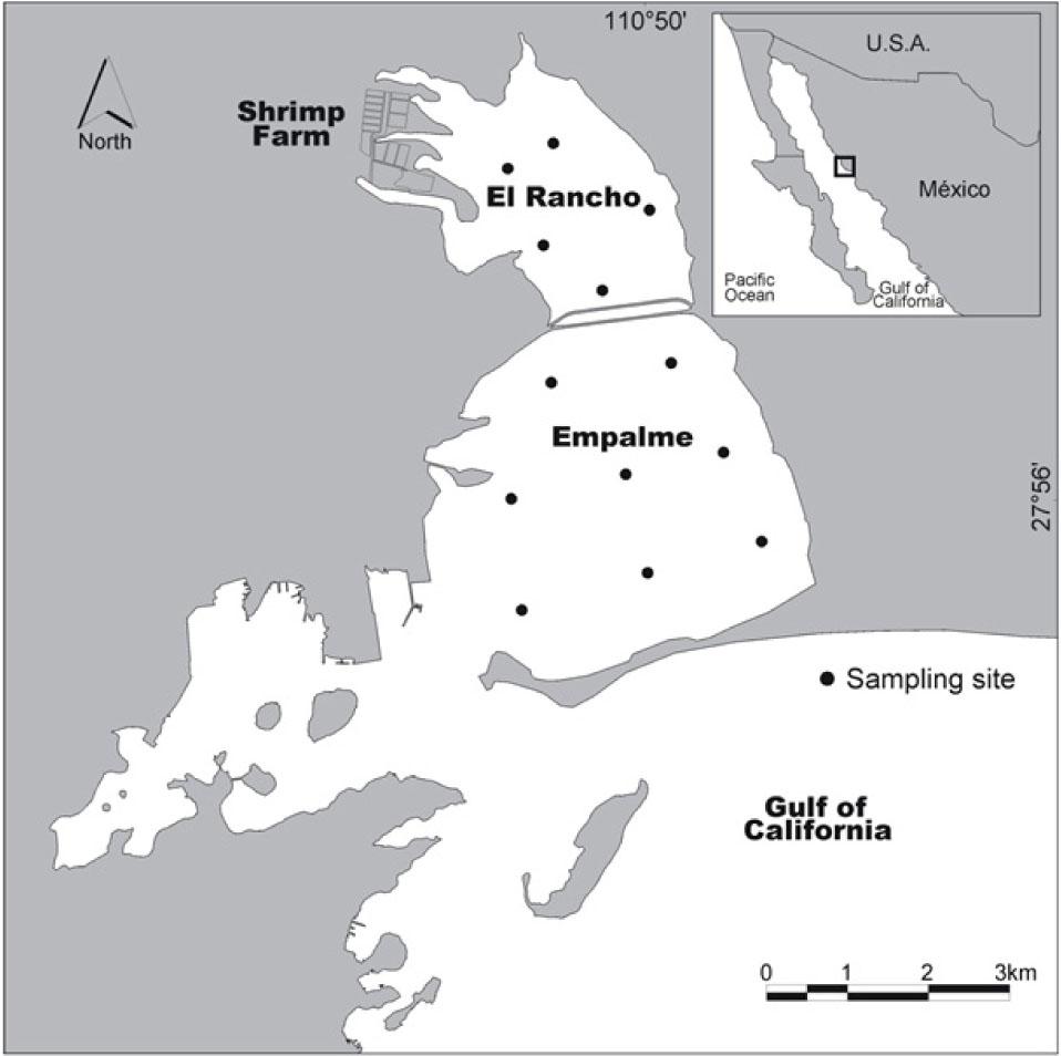 Map showing the location of the El Rancho-Empalme lagoon system. The dots indicate the sampling sites. The map shows the location of the shrimp farm which delivers effluents to El Rancho