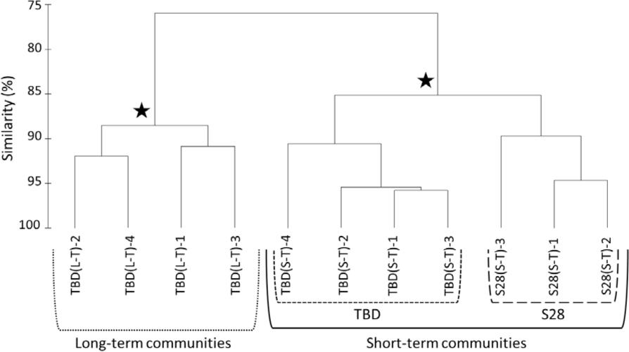 Similarity in species composition and biomass of sessile fauna. - Significant evidence of structure (SIMPROF test, p<0.05)