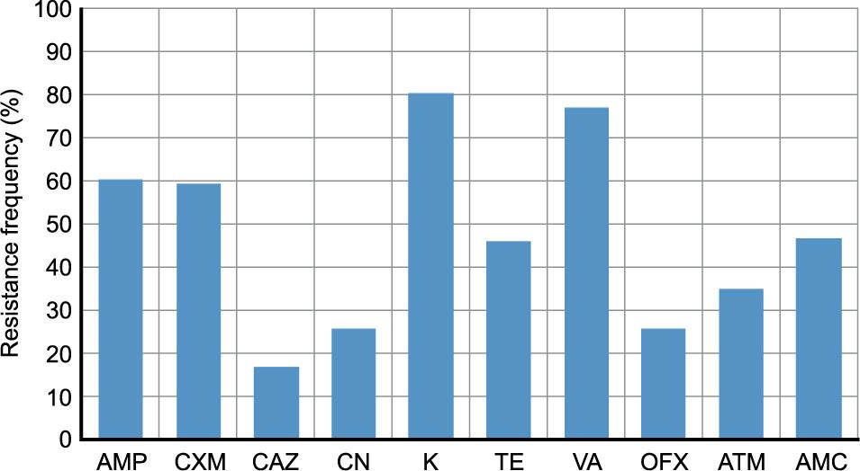 Antibiotic resistance of Enterobacteriaceae isolates from the Istanbul Strait, the Çnakkale Strait and the Sea of Marmara (AMP: ampicillin; CXM: cefuroxime; CAZ: ceftazidime; CN: gentamycin; K: kanamycin; TE: tetracycline; VA: vancomycin; OFX: ofloxacin; ATM: aztreonam; AMC: amoxicillin; CTX: cefotaxime)