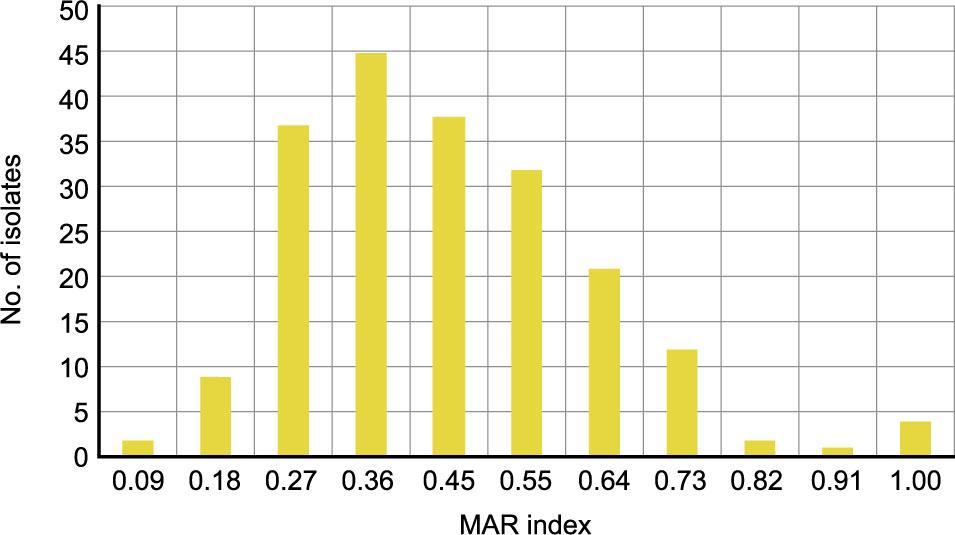 MAR index of the isolates from the Istanbul Strait, the Canakkale Strait and the Sea of Marmara