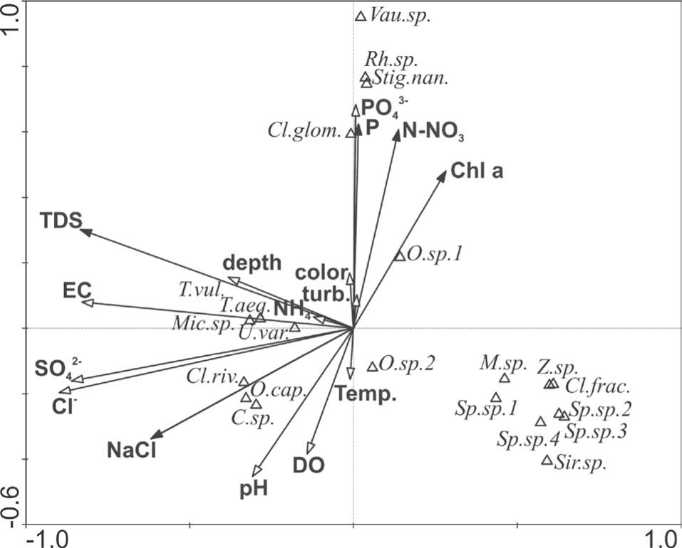 Canonical correspondence analysis (CCA) diagram showing the correlation between species distribution and environmental variables. All axes were found to be highly significant (p<0.005; Monte Carlo Simulation). Vau. sp. – Vaucheria sp., Rh. sp. – Rhizoclonium sp., Stig. nan. – Stigeoclonium nanum, Cl. glom. – Cladophora glomerata, O. sp.1 – Oedogonium sp. 1, Cl. glob. – Cladophora globulina, O. sp. 2 – Oedogonium sp. 2, M. sp. – Mougeotia sp., Z. sp. – Zygnema sp., Cl. frac. – Cladophora fracta, Sp.sp.1. Spirogyra sp. 1, Sp.sp.2 – Spirogyra sp. 2, Sp.sp.3. – Spirogyra sp. 3, Sp.sp.4. – Spirogyra sp. 4, Sir. sp. – Sirogonium sp., C. sp. – Cladophora sp., O.cap. – Oedogonium capillare, Cl.riv. – Cladophora rivularis, Mic. sp. – Microspora sp., U. var. – Ulothrix variabilis, T. vul. – Tribonema vulgare, T. aeg. – Tribonema aequale