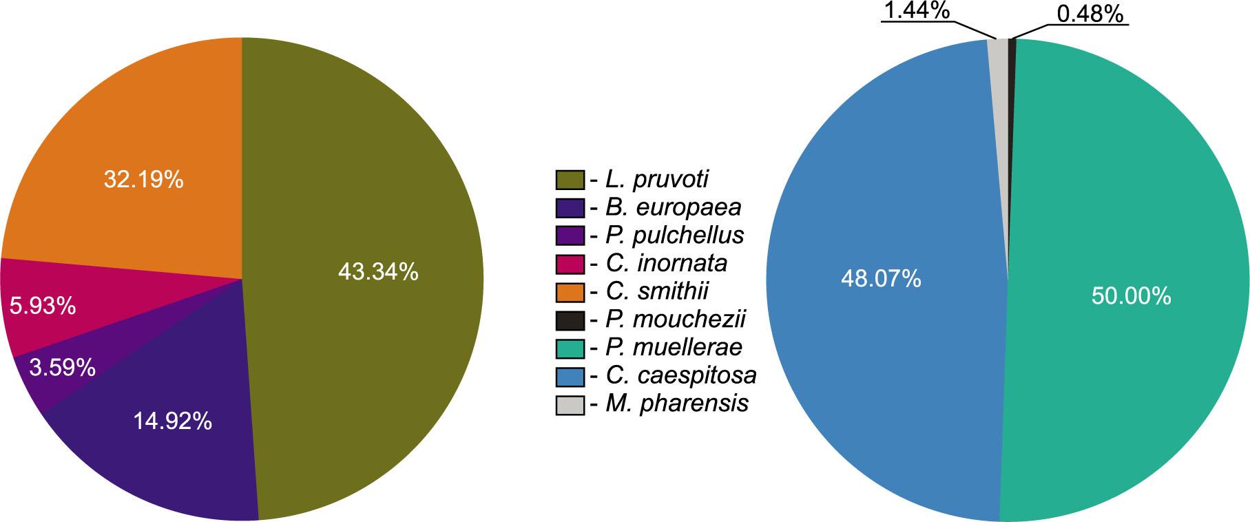 Dominance values of solitary and colonial corals