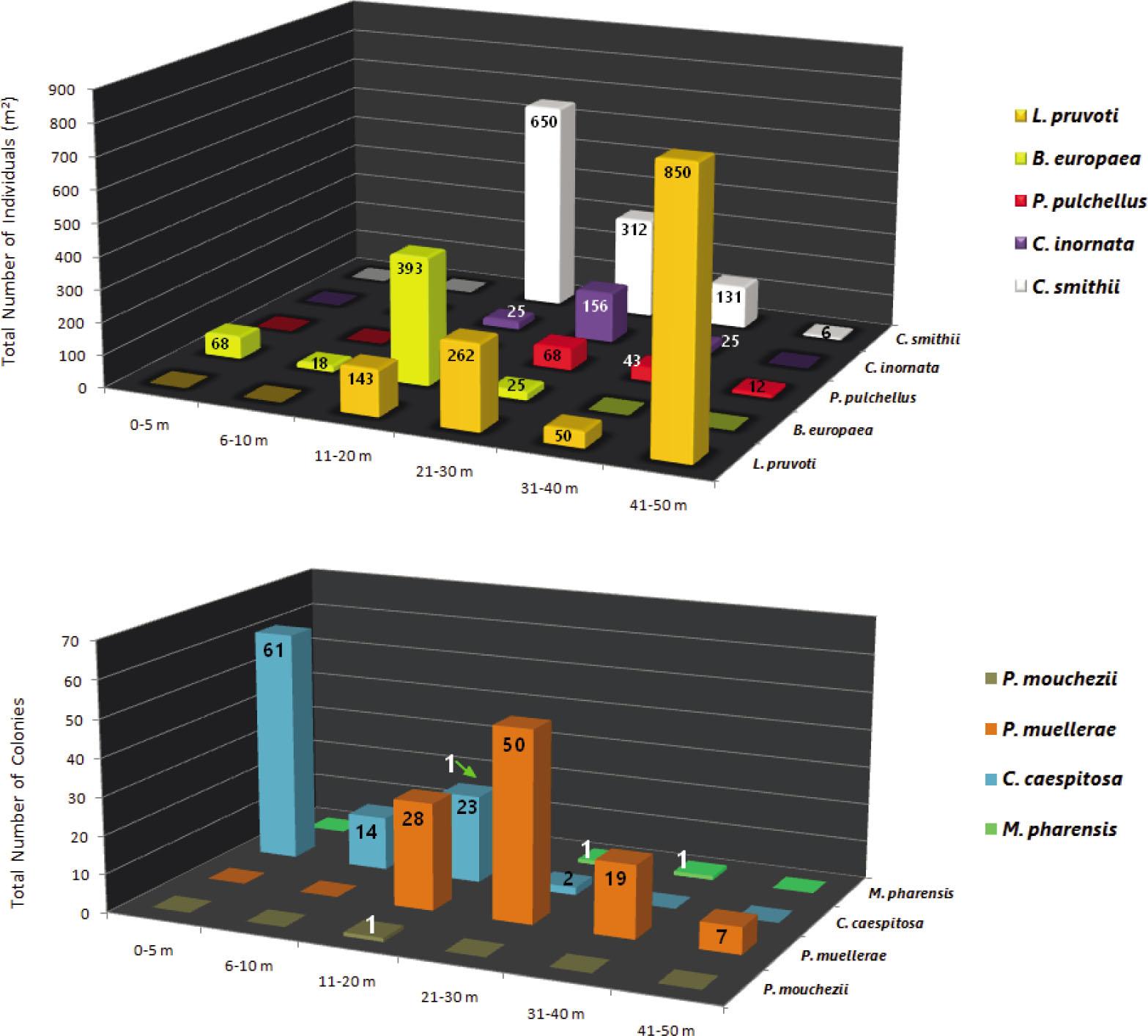 Depth-related distribution of the total mean number of individuals of solitary corals and the total number of colonies in colonial corals