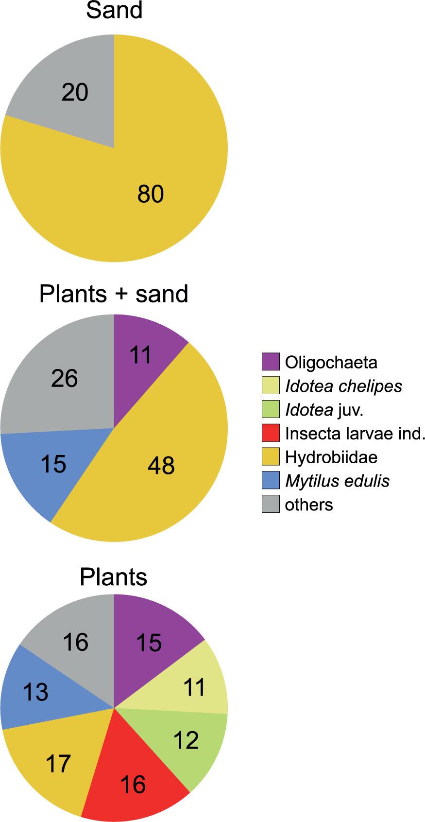 Percentage of each taxon in the mean abundance on different substrates (others – <10%)