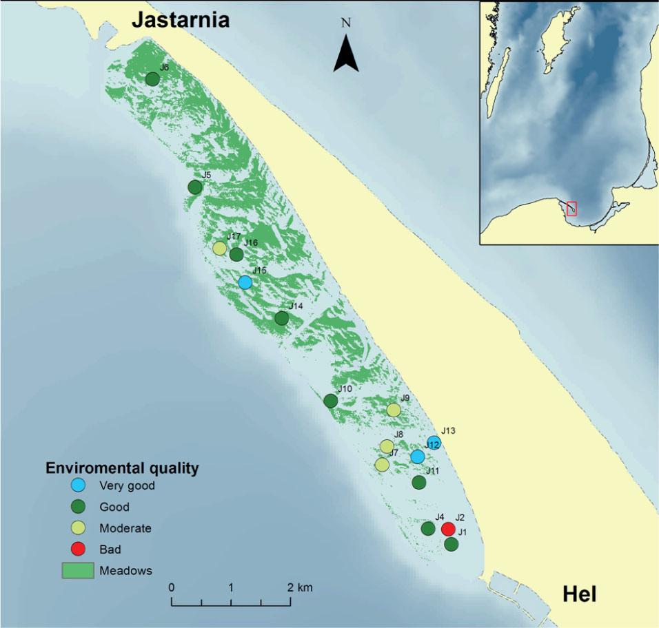 Environmental quality on Dluga Mielizna based on the Benthic Quality Index (BQI)