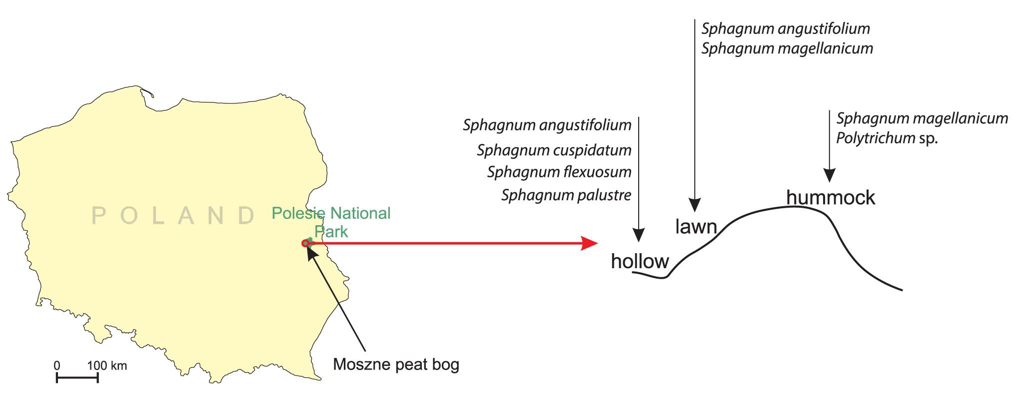 Location of the study area and sampling sites