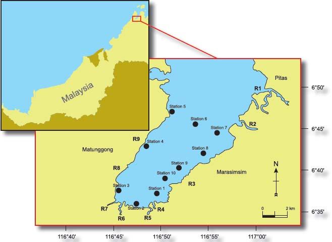 Location of the ten sampling stations in Marudu Bay. Note: R1= Pitas River; R2= Bangkoka River ; R3= Marasimsim River ; R4= Taritipan River ; R5= Raku River ; R6= Sumbilingan River ; R7= Marudu River ; R8= Karangawan River ; R9=Matunggong River