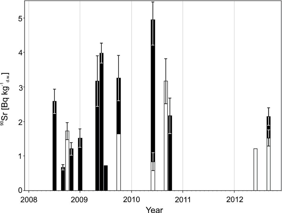 90Sr activity in Zostera marina at the site KO (black bars) and JK (white bars); whiskers represent standard deviation