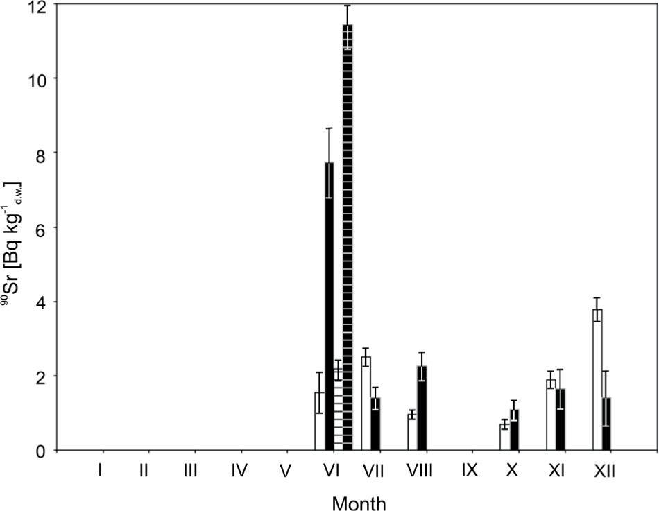 90Sr activity in tissue in 2011: leaf (white bars), root (black bars) and in 2013 leaf (white bars with stripes), root (black bars with stripes); whiskers represent standard deviation