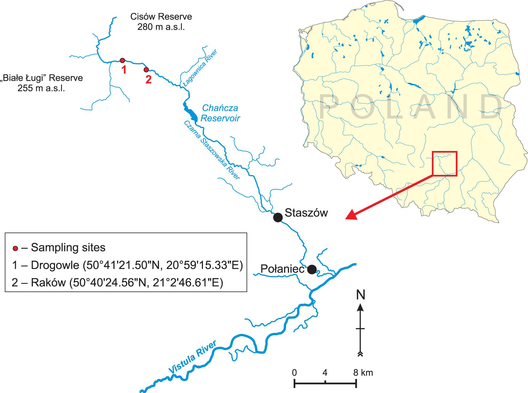 Map of sampling sites on the Czarna Staszowska River