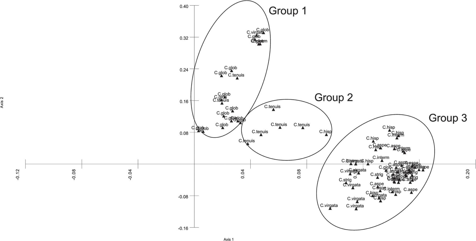Principal Component Analysis of AFLP of the analyzed species