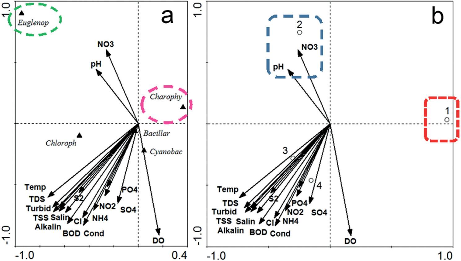 CCA Biplot of relationships between divisional diversity and environmental variables in the Kabul River (a); CCA Triplot of relationships between the sites and environmental variables in the Kabul River (b)