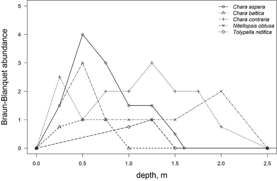 Recent (2014-2015) median ranges of depth distribution and abundance (Braun-Blanquet scale) of 5 charophyte species along the transects (locations are given in Fig. 2) in the Curonian Lagoon; empirical relationships obtained by linear interpolation