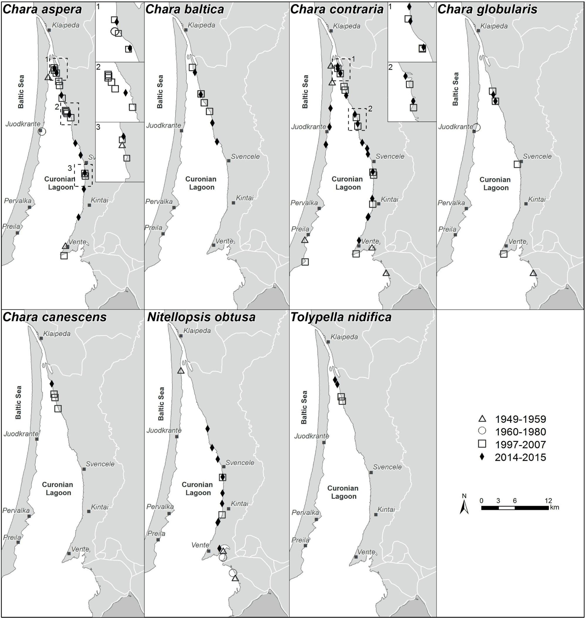 Recent (2014-2015) and previous (1949-1959, 1960-1980 and 1997-2007) distribution of charophyte species recorded in the Curonian Lagoon