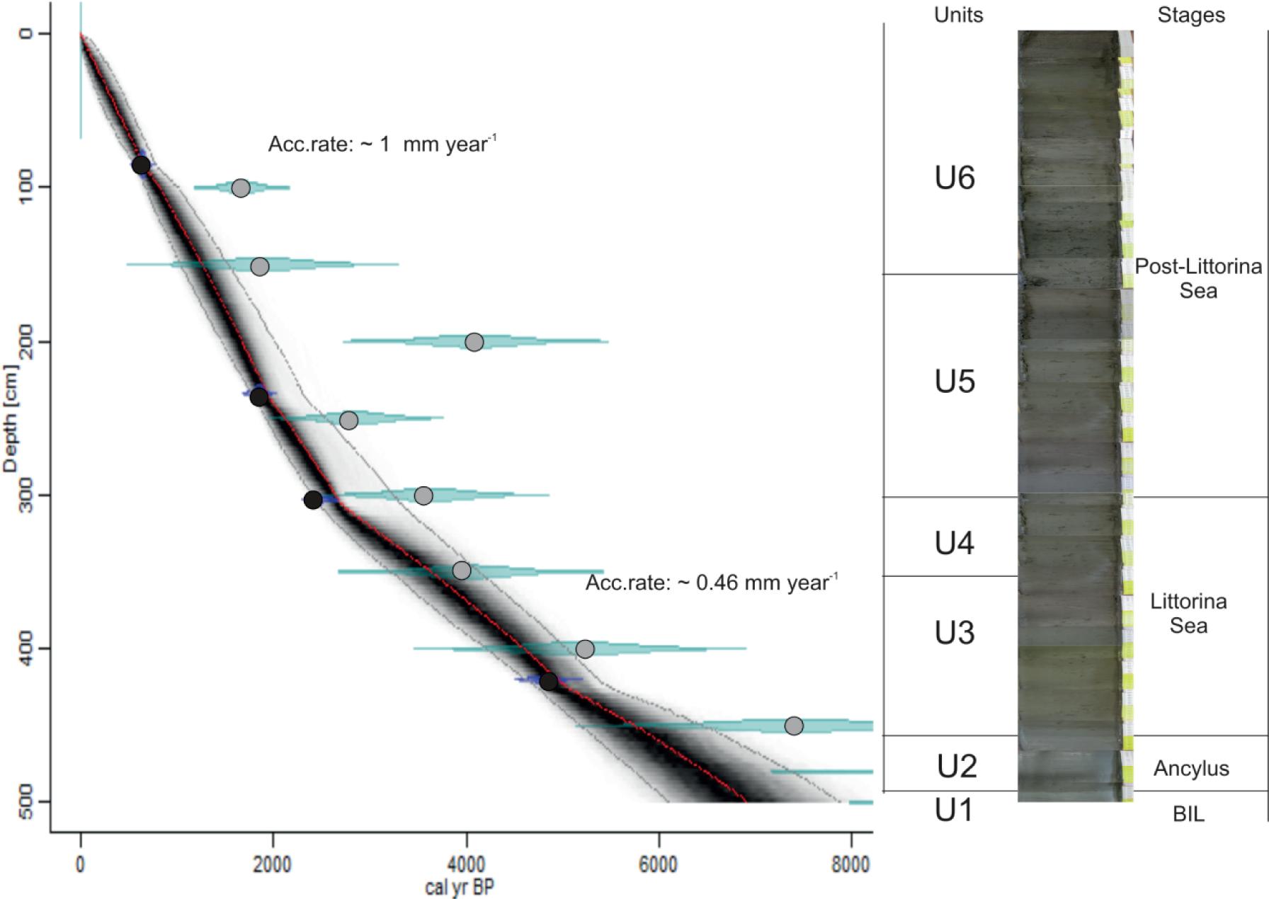 OSL and radiocarbon depth-age model plot: black circles – radiocarbon dates; grey circles – OSL dates, red curve – model based on the weighed mean age for each depth, grey stippled lines – 95% confidence intervals, transparent blue – uncertainty of ages