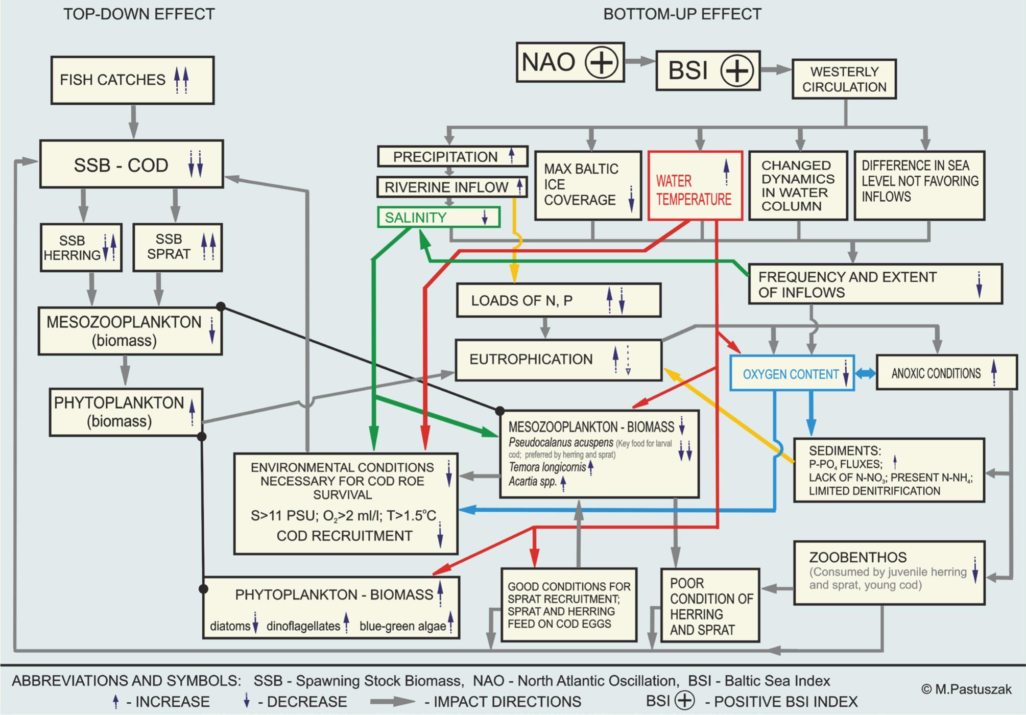 Top-down and bottom-up cascades and their interrelations in the Baltic Sea – biotic and abiotic parameters (source: graph was prepared based on the knowledge derived from the following publications: Alheit et al. 2004; 2005; Casini 2011; Casini et al. 2008; Cardinale & Arrhenius 2000; Cardinale et al. 2002; 2009; Conley et al. 2008; Dascalov 2002; 2011; Diekmann & Möllmann 2010; Flinkman et al. 1998; Håkanson et al. 2010; Hansson & Andersson 2015; Hare & Mantua 2000; Hinrichsen et al. 2002; Hurrell 1995; ICES 2011; Köster & Möllmann 2000; Köster et al. 2003; 2005; Lees et al. 2006; Mayer & Rietkerk 2004; Meier & Kauker 2003; Mohrholz et al. 2015; Möllmann 2011; Möllmann & Köster 1999; 2002; Möllmann et al. 2000; 2003; 2004; 2005; 2009; Overland et al. 2008; Rahm et al. 1996; Rönkkönen et al. 2004; Scheffer & Carpenter 2003; Schinke & Matthäus 1998; Scheffer et al. 2001; Wanner et al. 2001; Wasmund & Uhlig 2003)