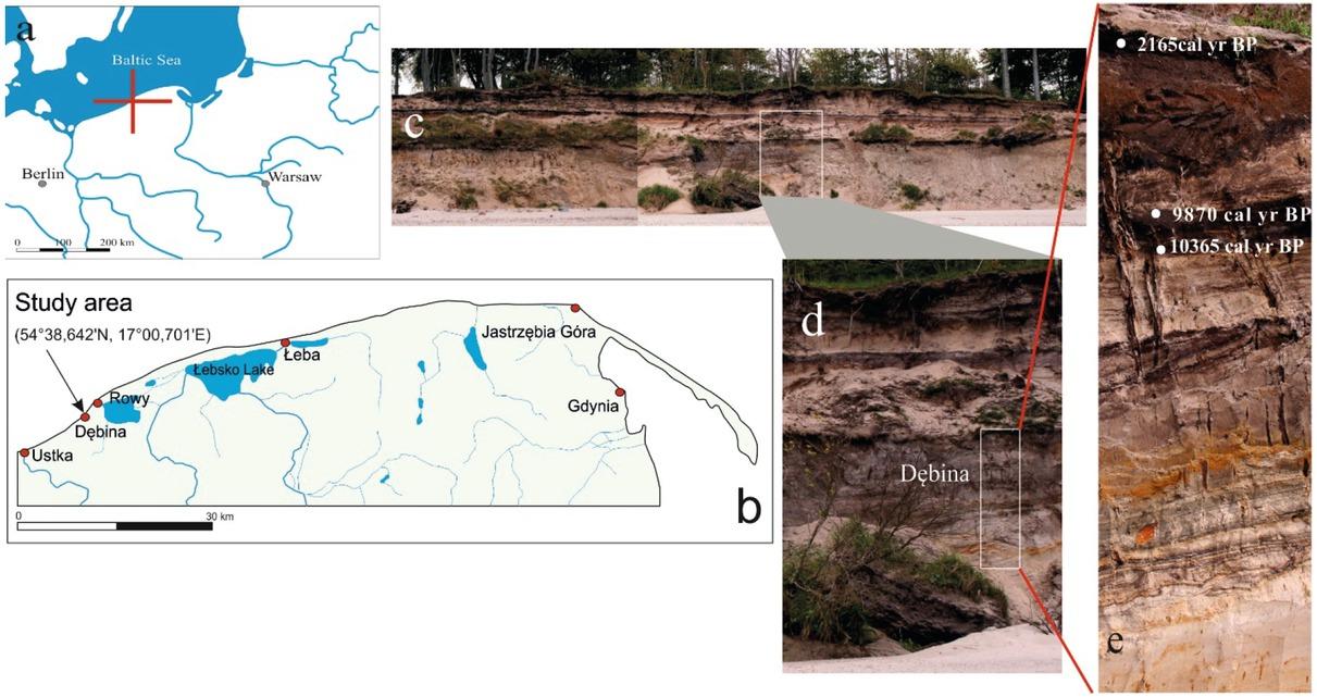 Location of the site (a, b), morphology of the cliff (c, d), location and morphology of the paleolake profile and its calibrated radiocarbon age (e)
