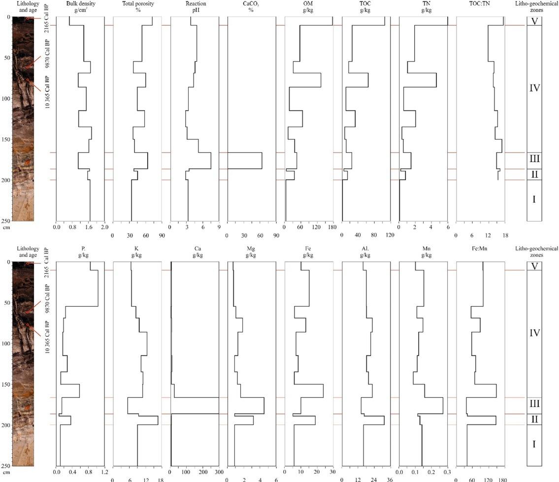 Lithology, age (in calibrated years BP) and selected physical and chemical properties of the Debina profile