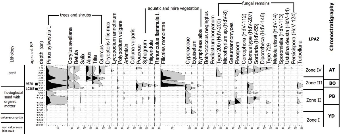 Pollen concentration diagram, of non-pollen palynomorphs (NPPs), aquatic and marsh plants from the Debina profile