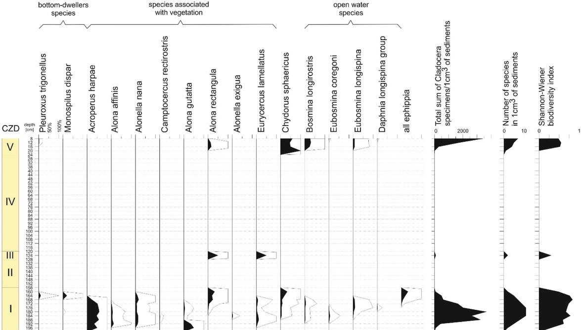 Relative abundance diagram of subfossil cladoceran taxa, the total number of Cladocera specimens, and the number of species in the Debina profile