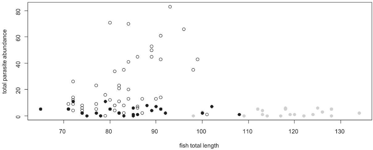 Total parasite abundance in round goby from the Süderelbe (black points), Geesthacht (gray points) and Ústí nad Labem (open points) in relation to fish size