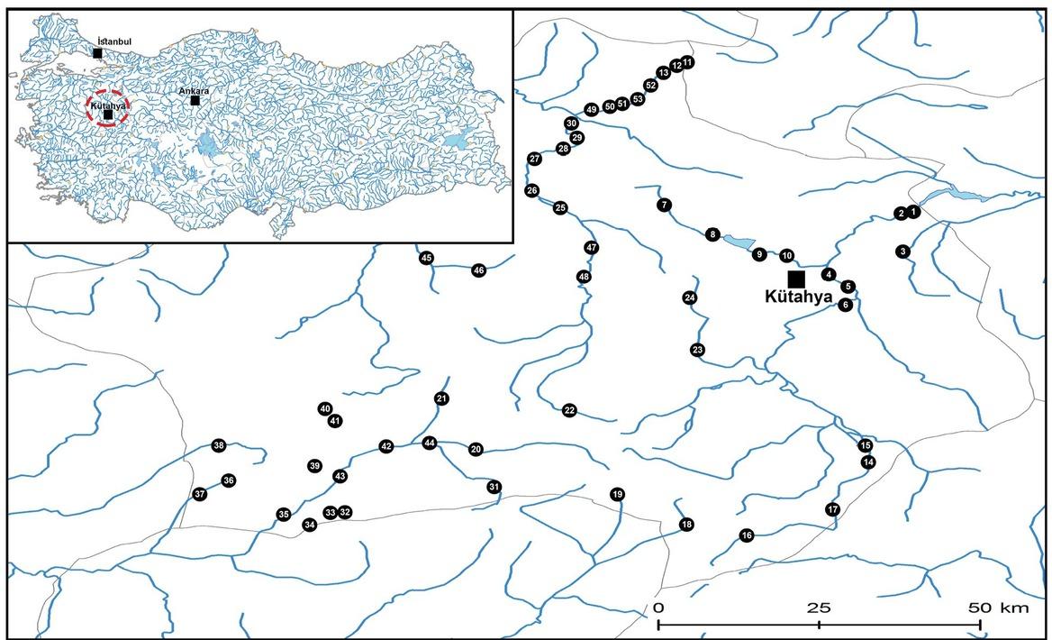 Distribution of the surveyed localities