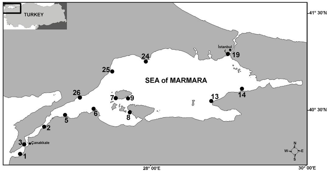 Map of the study area