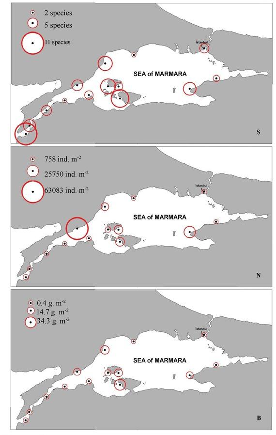 The mean number of mollusk species (S), the mean number of individuals per m2 (N) and the mean biomass of mollusks g m–2 (B) at the sampling sites