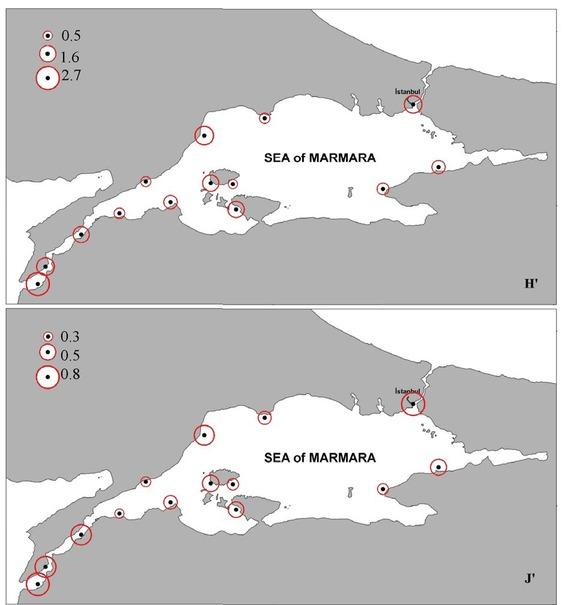 Mean values of the diversity index (H') and of the evenness index (J') at the sampling sites