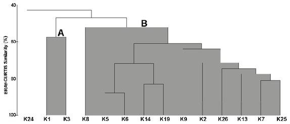Dendrogram indicating similarities and dissimilarities of the sampling sites