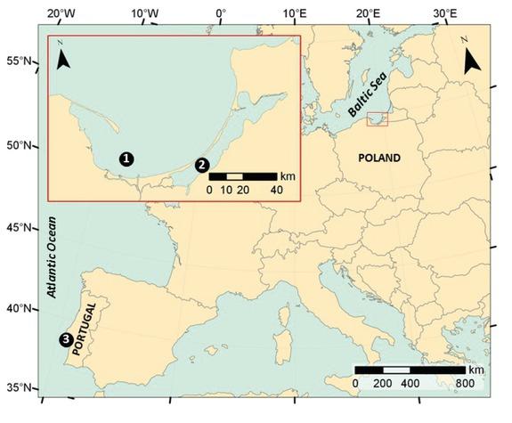 Sampling sites: (1) the Gulf of Gdańsk, (2) the Vistula Lagoon and (3) the Tagus Estuary (geographic data source: ESRI)