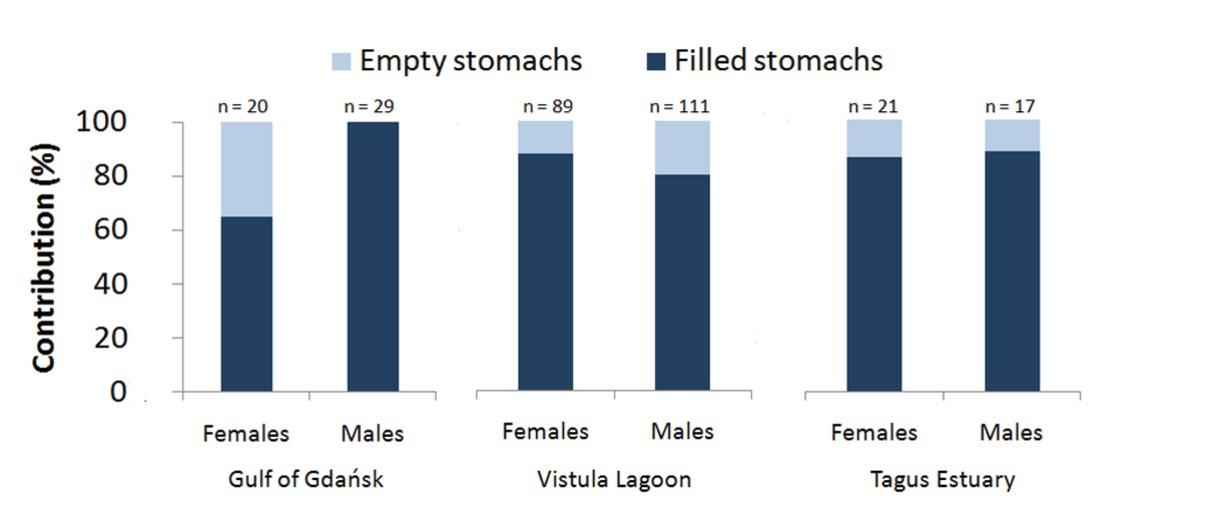 Percentage of individuals with filled and empty stomachs from the Gulf of Gdańsk, the Vistula Lagoon and the Tagus Estuary