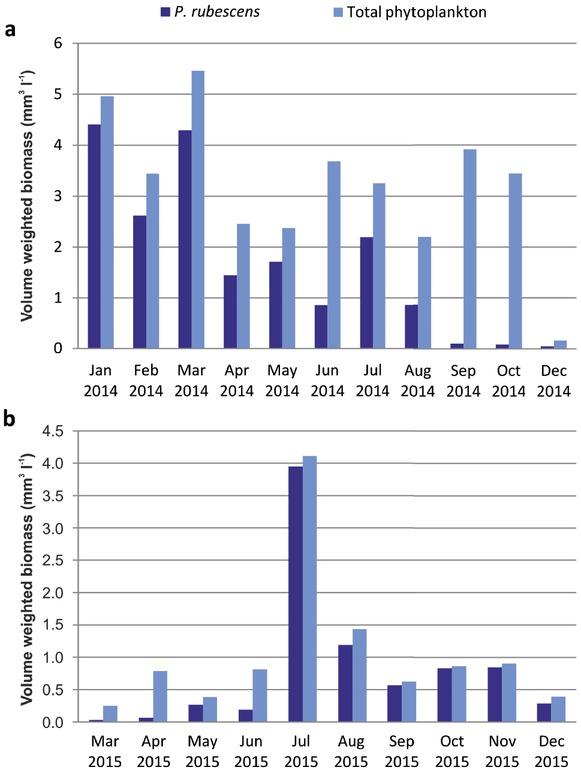 Volume-weighted averages of P. rubescens and total phytoplankton biomass in the Vrutci reservoir: in 2014 (a) and 2015 (b)